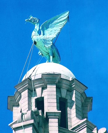 The Liver Building Birds and Their True Designer